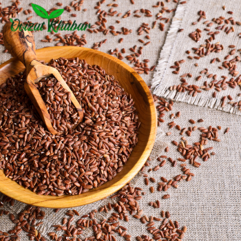 Untitled design (12)