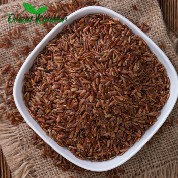 Untitled design (13)