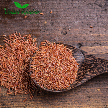 Untitled design (14)