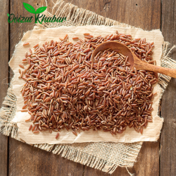 Untitled design (15)